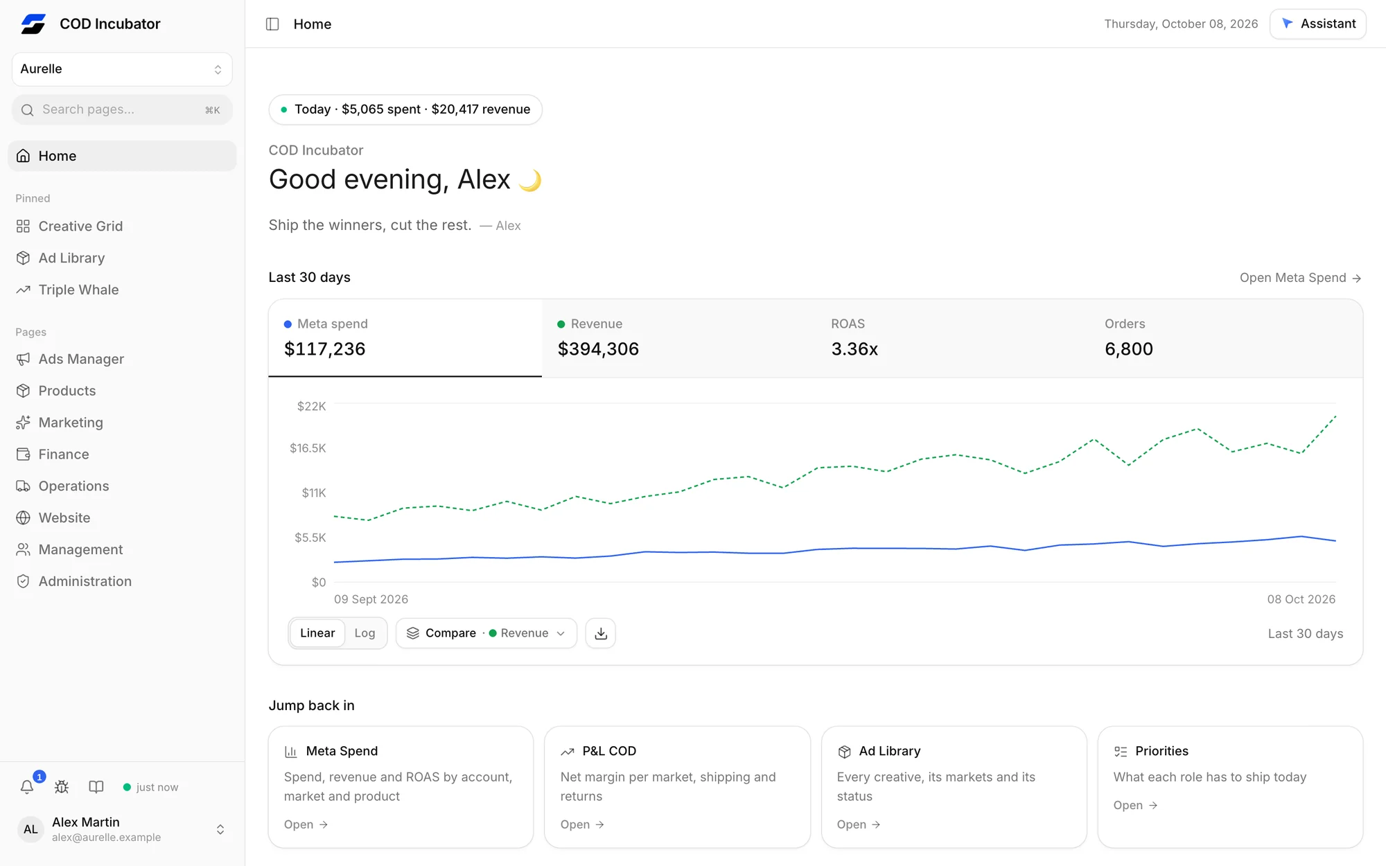 Roapix home dashboard with 30-day spend and revenue curves