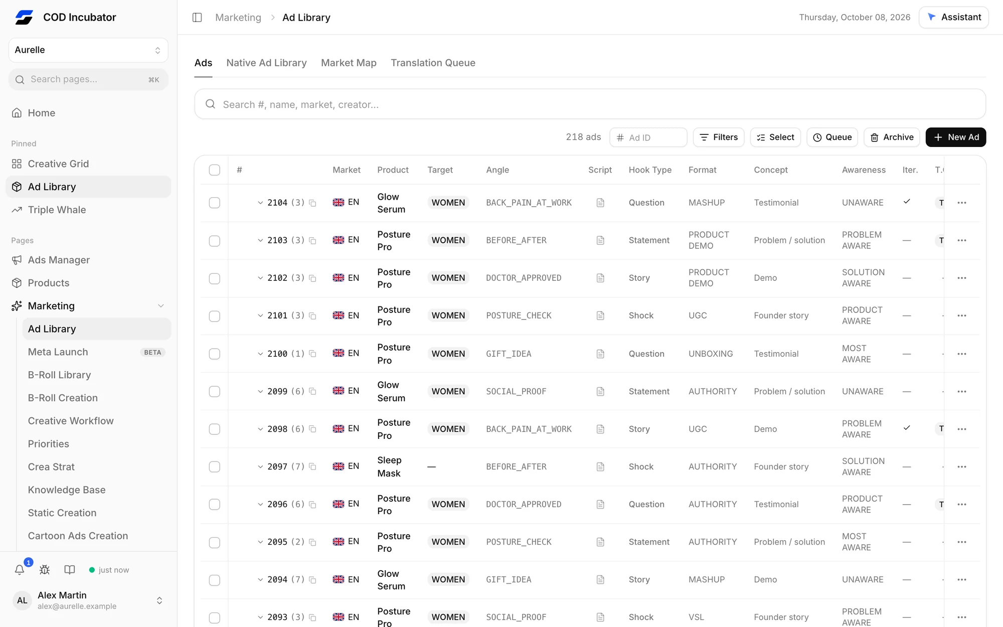 Roapix ad library: every creative with its markets, angle, concept and status